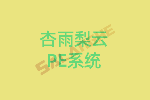 杏雨梨云启动维护PE系统2025乙巳版之仲夏