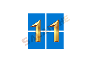 Windows 11 Manager v1.3.1.0 中文破解版