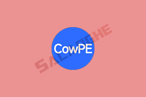 CowPE 三周年纪念版21H2 纯净好用的PE系统