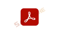 Acrobat Pro DC v2025.001.20937 绿色便携版