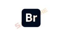 Adobe Bridge 2026 (v16.0.0.63.00) 破解版