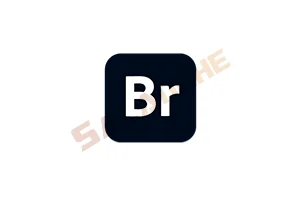 Adobe Bridge 2026 (v16.0.0.63.00) 破解版