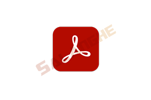 Acrobat Pro DC v2025.001.20844 绿色便携版