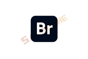 Adobe Bridge 2026 (v16.0.0.63.00) 破解版