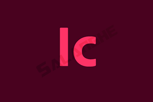 Adobe InCopy 2026 (v21.5.1.073.0)特别版