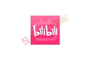 B站谷歌版哔哩哔哩APP国际版bilibili v8.69.0 去广告修改版