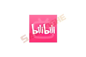 B站谷歌版哔哩哔哩APP国际版bilibili v8.69.0 去广告修改版