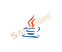 Java SE Development Kit 21(JDK) v21.0.9