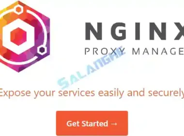 Nginx Proxy Manager 可视化面板一键安装部署方法