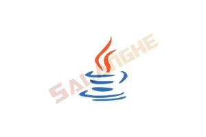 Java SE Development Kit 25(JDK)_v25.0.1