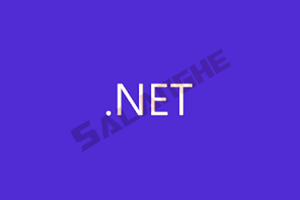Microsoft .NET Runtime (.net10.0) v10.0.1 最新版