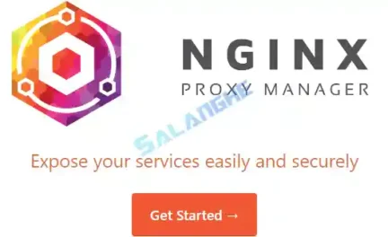 Nginx Proxy Manager 可视化面板一键安装部署方法