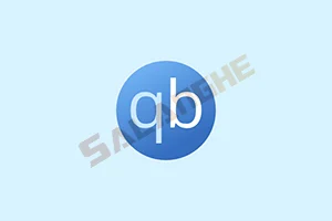 BT下载利器 qBittorrent v5.1.4 绿色版