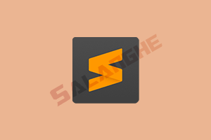 Sublime Text v4.0 Build 4156_Dev 破解版