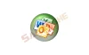 Microsoft Office 插件 Office Tab 16.00.001 安装版