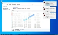 Flash Player(Flash插件) v34.0.0.342 纯净版