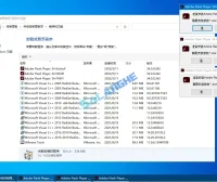 Flash Player(Flash插件) v34.0.0.342 纯净版