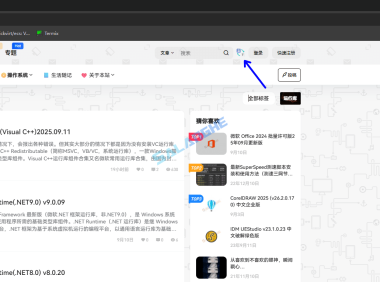 修复B2主题某位大佬分享的多语言翻译插件