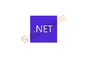 Microsoft .NET Runtime(.NET9.0) v9.0.11