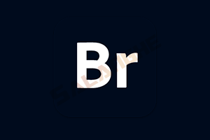 Adobe Bridge 2026 (v16.0.1.18.00) 破解版