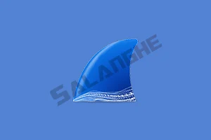 网络抓包工具 Wireshark v4.6.1 中文便携版