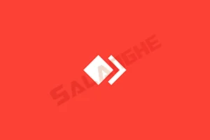 AnyDesk远程工具免费版 v9.6.6 绿色便携版