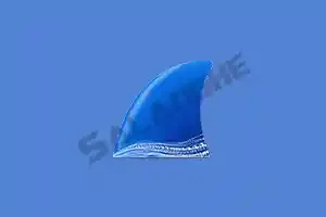 网络抓包工具 Wireshark v4.6.2 中文便携版
