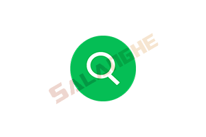 文件搜索工具 UltraSearch 4.8.5.1185 便携版