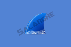 网络抓包工具 Wireshark v4.6.1 中文便携版