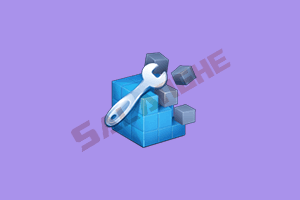 Wise Registry Cleaner 11 Pro v11.3.0.732 中文便携版