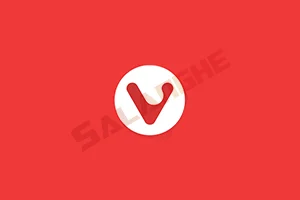 Vivaldi浏览器 (跨平台浏览器) v7.7.3851.56 最新版