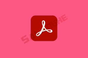 Acrobat Pro DC v2025.001.20997 绿色便携版
