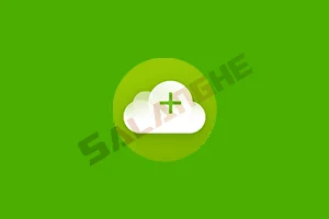 4K Video Downloader+ v25.4.3.264 中文便携版