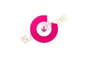 4K Tokkit (tiktok视频下载器) v25.4.1.1070 便携版