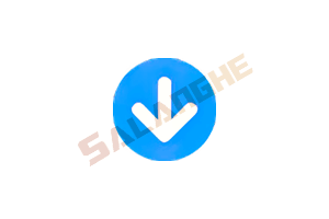 Any Video Downloader Pro (视频下载) v9.6.6 便携版