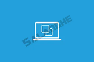 Hasleo Disk Clone Technician (硬盘克隆工具) v5.5.2.2 便携版