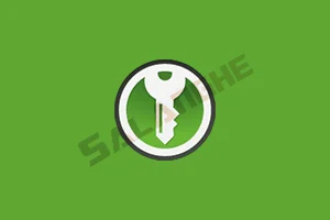 KeePassXC (密码管理工具) v2.7.11 中文绿色版