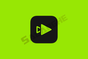 Topaz Video (AI视频修复软件) v1.1.0 破解版