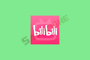 B站谷歌版哔哩哔哩APP国际版bilibili v8.71.0 去广告修改版