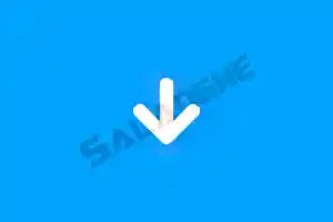 Any Video Downloader Pro (视频下载) v10.0.6 便携版