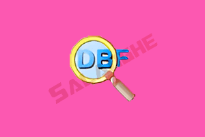 DBF Viewer 2000 (查看和编辑DBF文件) v8.92 绿色版