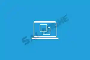 Hasleo Disk Clone Technician (硬盘克隆工具) v5.5.2.2 便携版