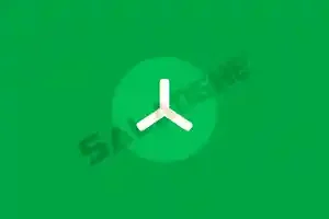 TreeSize Pro (磁盘空间管理工具) v9.6.2.2158 便携版