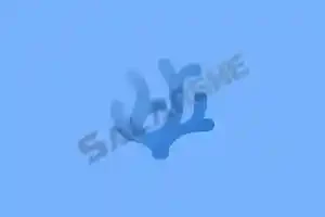 VSCodium (开源代码编辑器)v1.107.18605 绿色版
