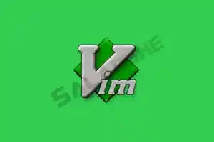 Vim编辑器 (代码编辑器) v9.1.1934 中文绿色版