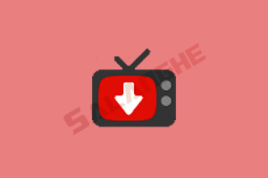 YT Downloader (YouTube下载工具) v10.0.11 便携版