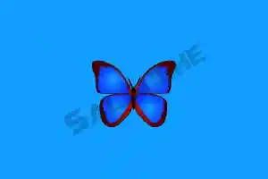 bkViewer (数码照片浏览器) v8.2e 中文绿色版