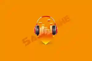 DLNow Video Downloader v1.54.2025.12.06 便携版