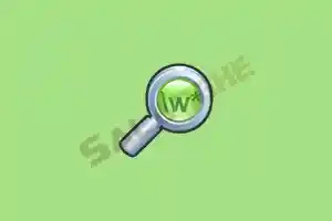 dnGrep (文件搜索软件) v4.6.63.0 中文绿色版