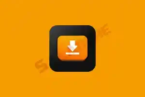 iDownerGo (视频下载工具) v10.10.0 汉化绿色版